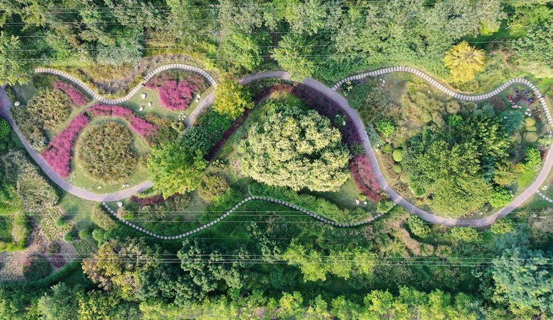 观草好时节泰达植物资源库芊卉园开放