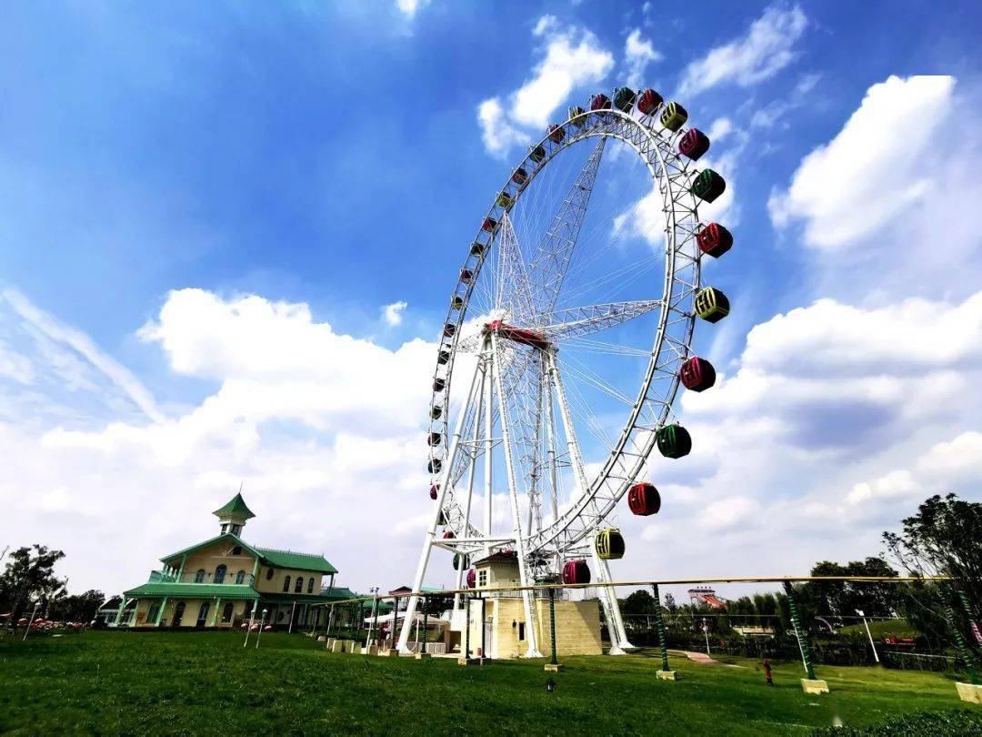 今天临泉现场直播