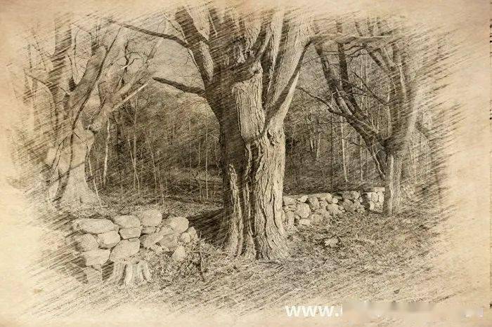 一根树,生在天角角,洪水淹不到,野火烧不着;那是什么树,那是白枫树