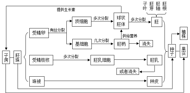 【高考生物】一轮复习之生物的生殖与发育/生物与环境