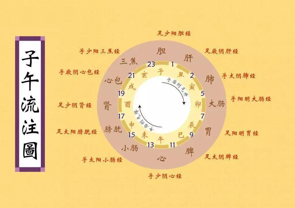 中醫十二時辰養生法照著做把五臟六腑都養護了