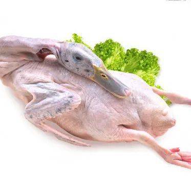 新鲜好味的青头鸭,68元/件冷链包邮送到家!