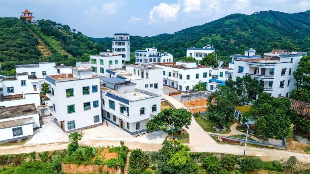 高州根子镇元坝村勇夺乡村振兴大擂台全省冠军