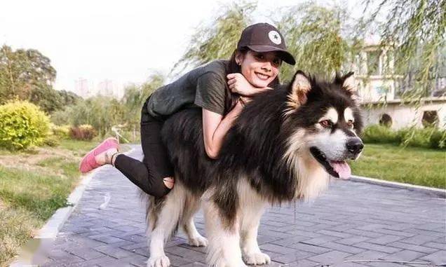 第一次带女友回家,狗狗超乖!_主人