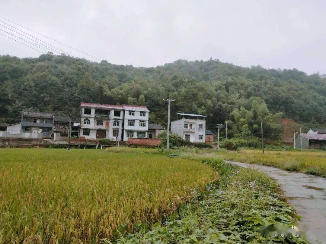 秀美乡村梅港乡何源