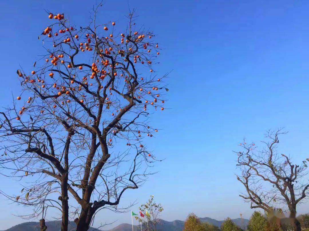 人生須盡歡我這裡風景也不孬你那裡風和日麗歡喜觸動在心底風景人事在