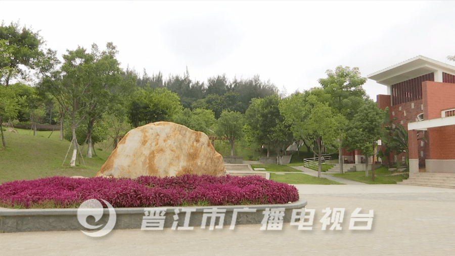 晋江这片绿.