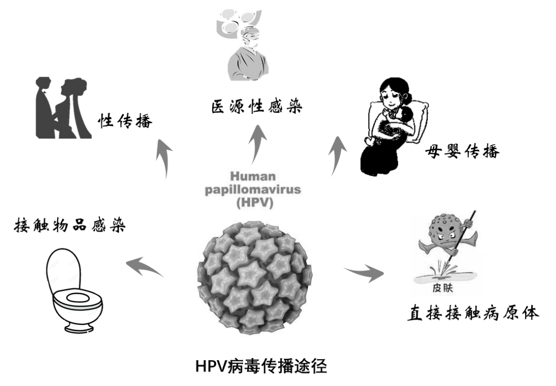 怎么才能发现自己感染了hpv病毒?如何预防hpv感染?