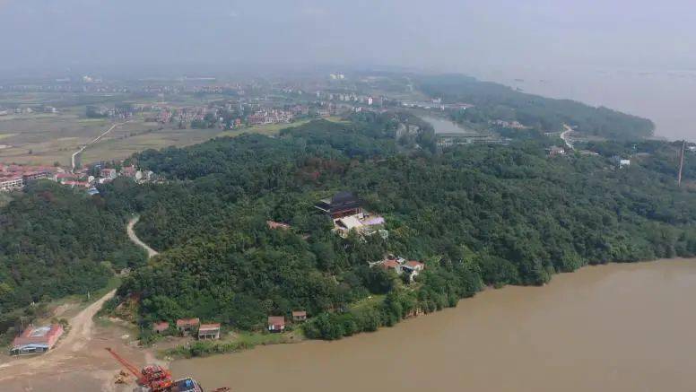 严查,严防!保这片林场!_杨林山