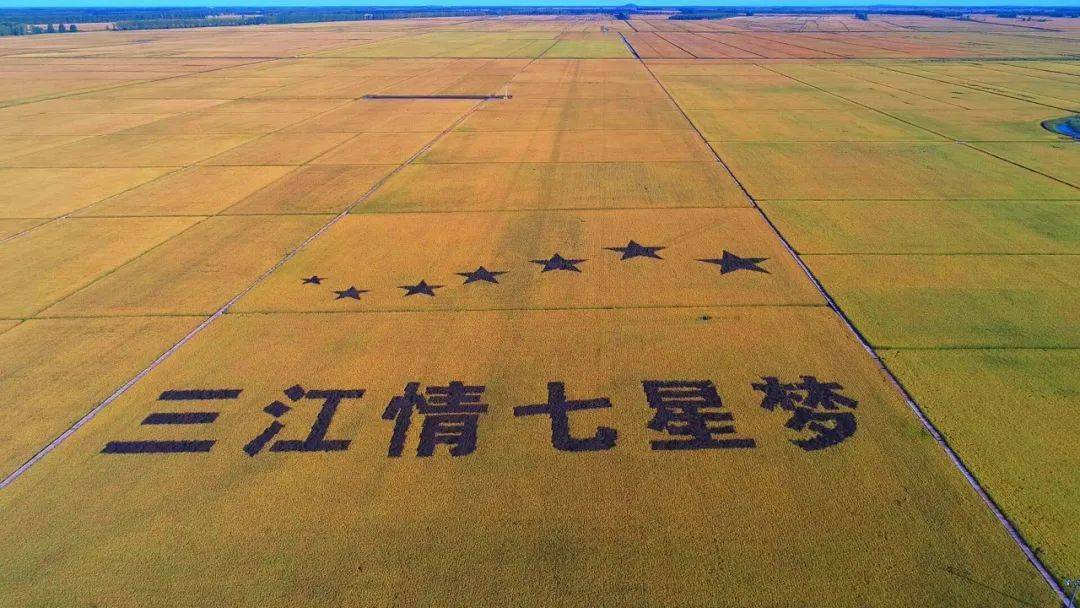 【藏粮于技】北大荒秋收越来越"科技范":北斗导航 遥感技术_七星农场