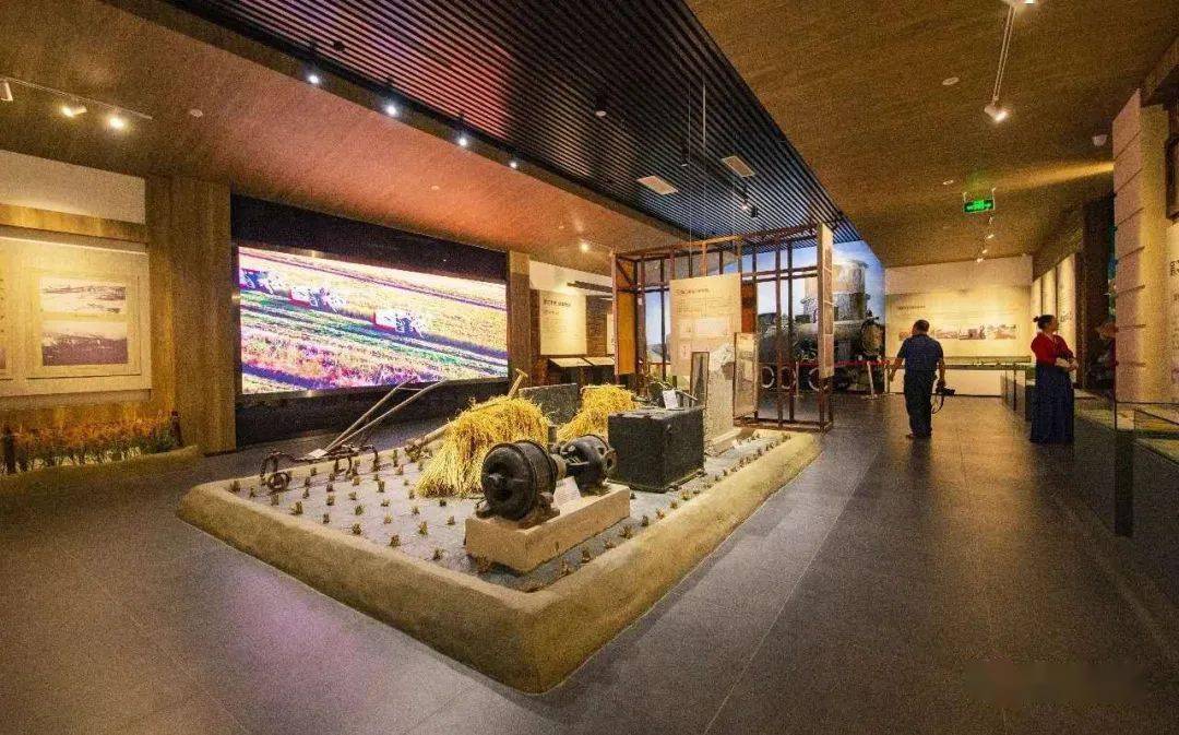 【云游盘锦】荣兴稻作人家喊你来度假!