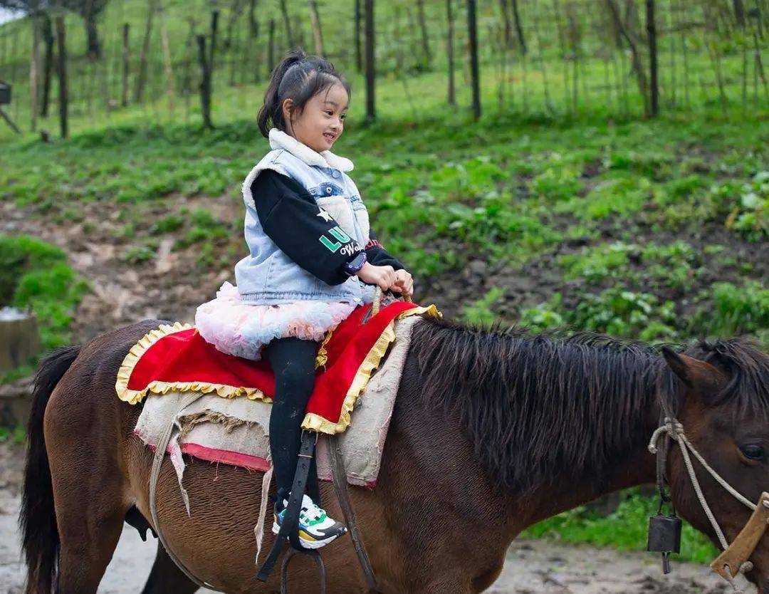 国庆节带孩子旅行请收下这份纯干货仙女山亲子游玩攻略