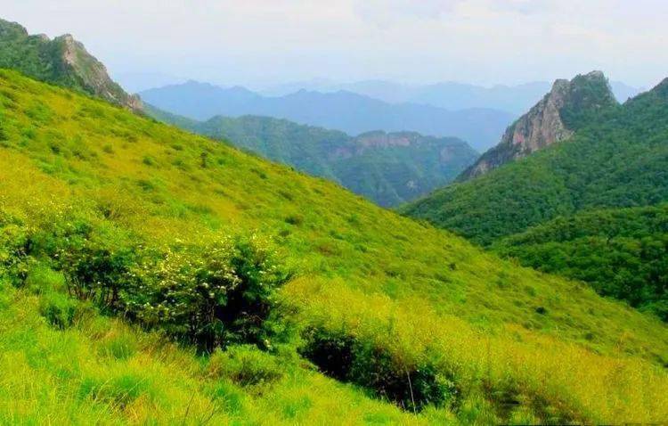 秦岭十二印象丨分水岭高山草甸10月11日丨东佛沟穿越东坪沟尽览秦岭