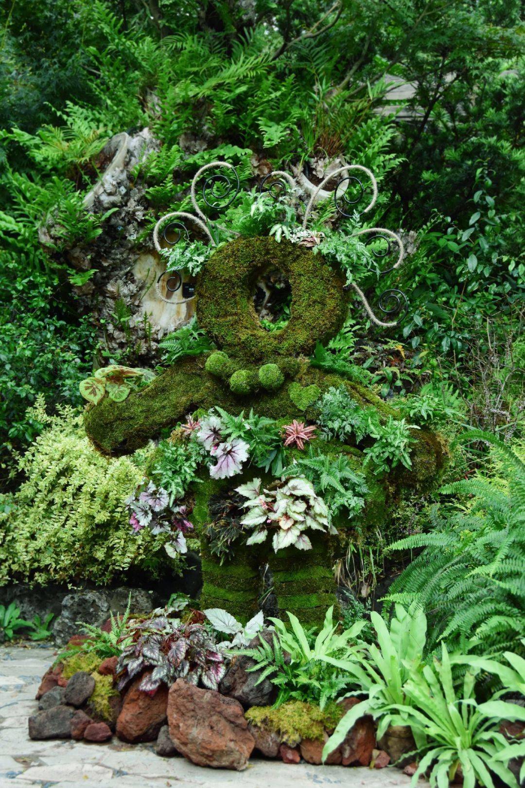 "逐梦奇趣,乐享园艺"——阴生植物展之苔藓球制作