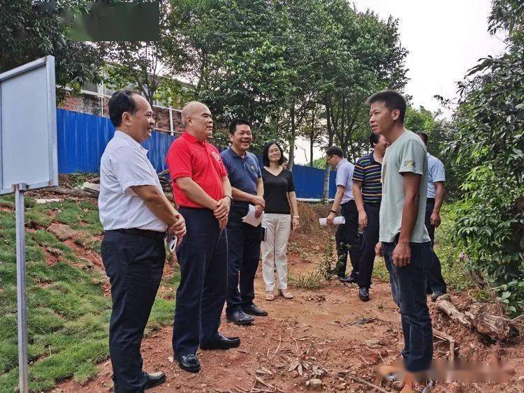 电白一大型养猪场直排猪屎尿,污染水源,被责令停业整改!