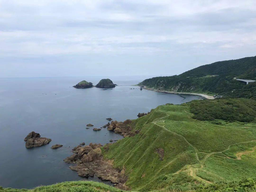 日本朱鹭爷爷为了濒临绝灭的鸟两代人在深山里付出了一生