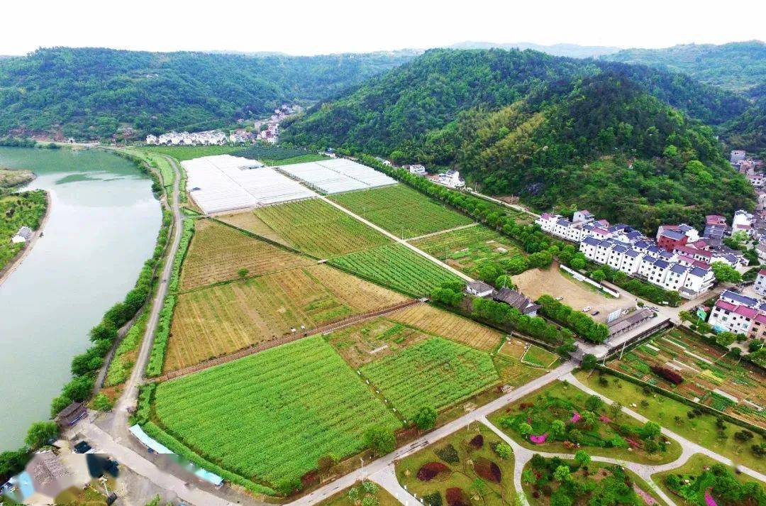 斯,这是中国人独有的土地情怀,土地永远是我们最诚挚的热爱,蓝城农业