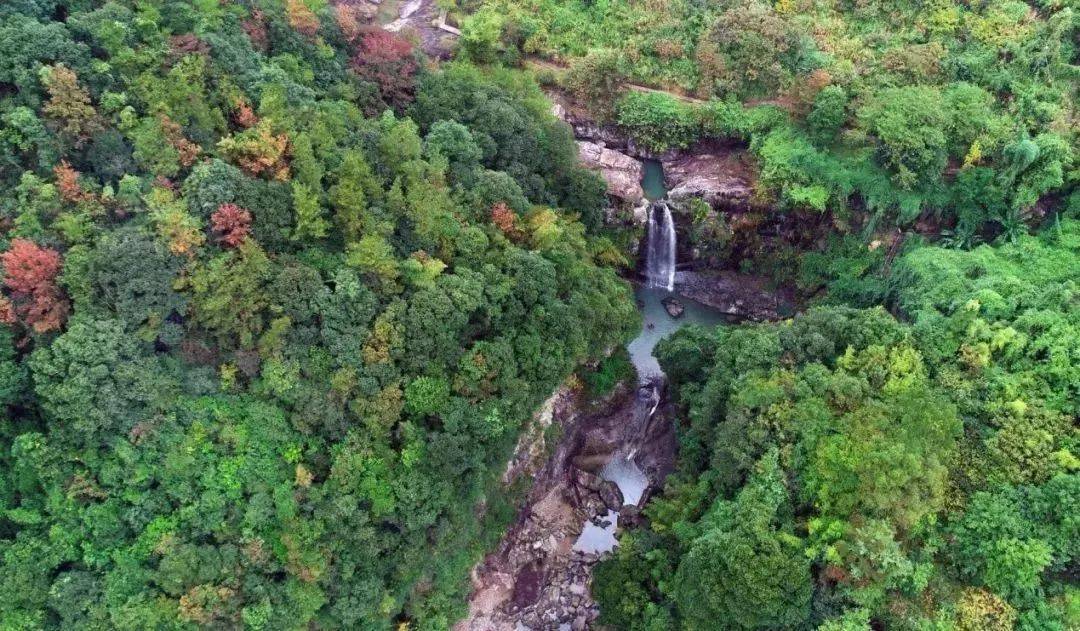 徒步登山正當時,龍港旁邊平陽這些被人遺忘的寶藏登山地值得你一去!