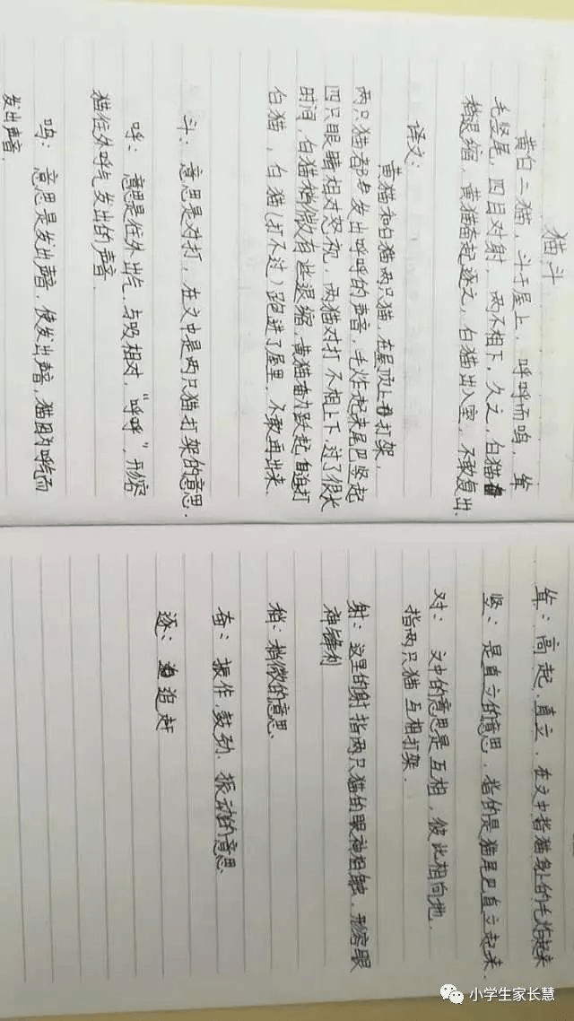 【小学生必读小古文100篇】第十三篇:《五官争功》