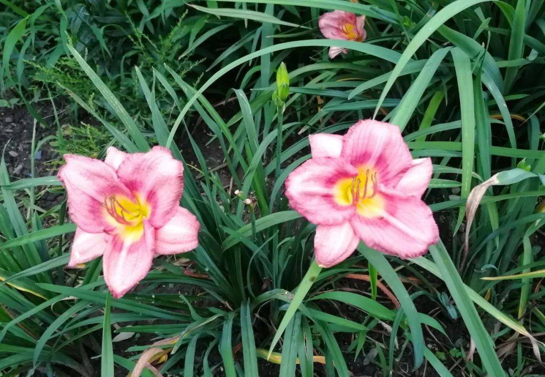 顺其自然,随遇而安