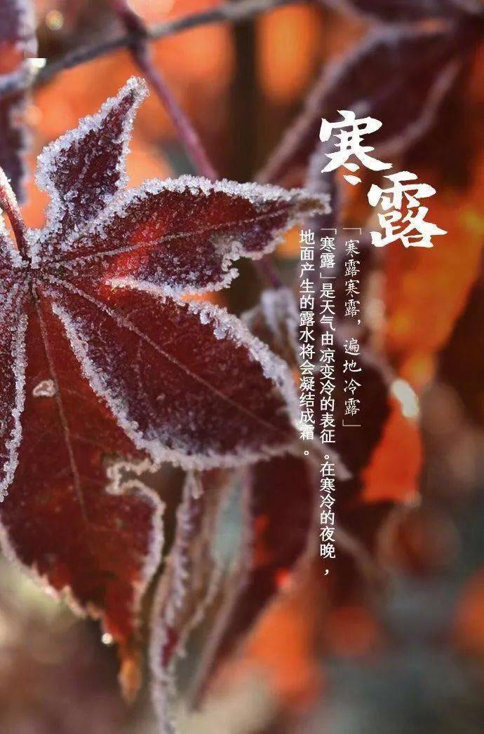 寒露时节秋意浓浓