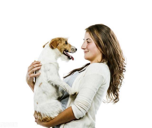 狗狗讨厌拥抱除非主人技术够好才能让狗狗爱上被你拥抱