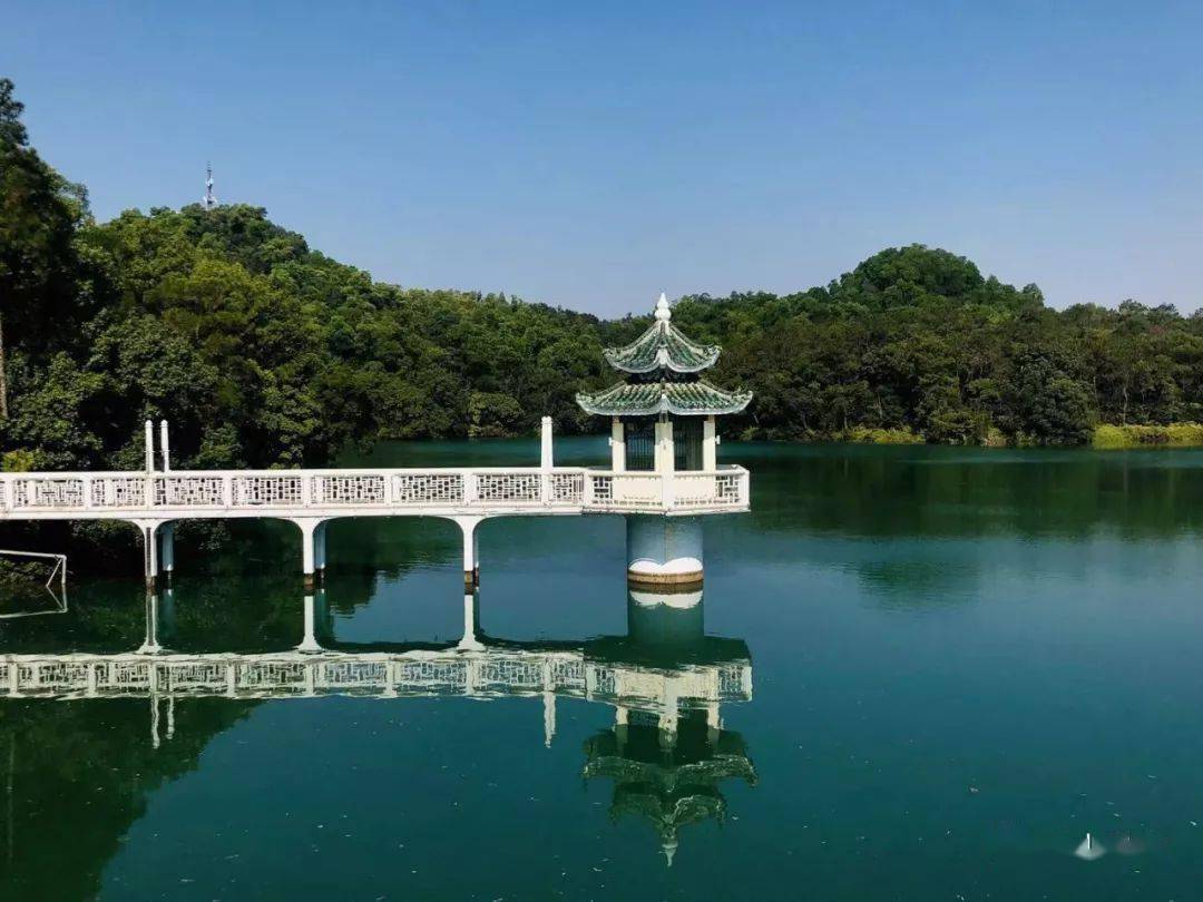 台山这些著名的山,你都看过了吗?空气太清新了.