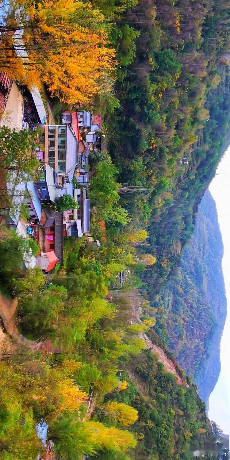 【陇南礼县白关镇】金秋十月,一线飘红