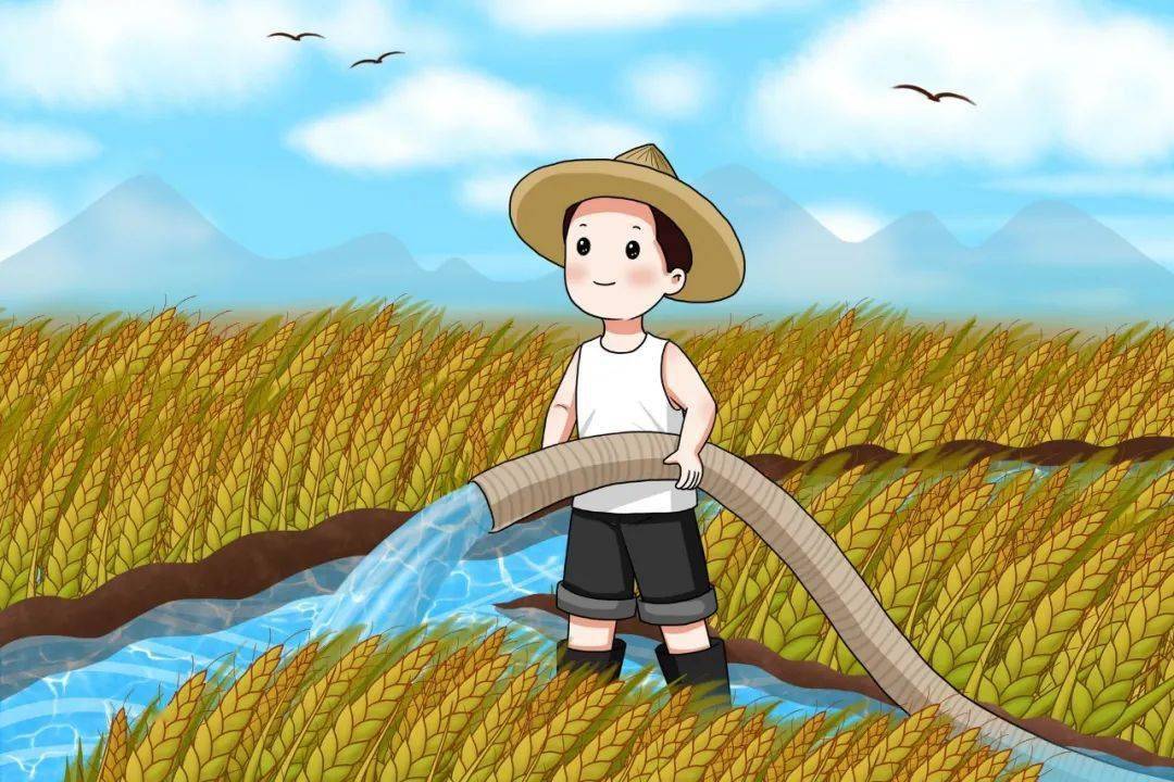 灌溉农田卡通图片图片