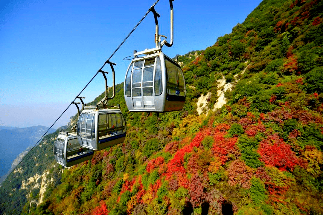 活动丨赏红叶赢大奖少华山第十二届红叶节摄影大赛火热进行中