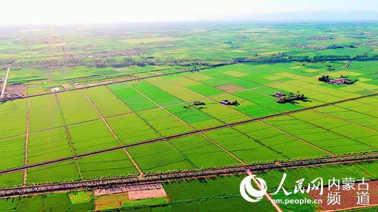盐碱地改良不再是世界难题_耕地