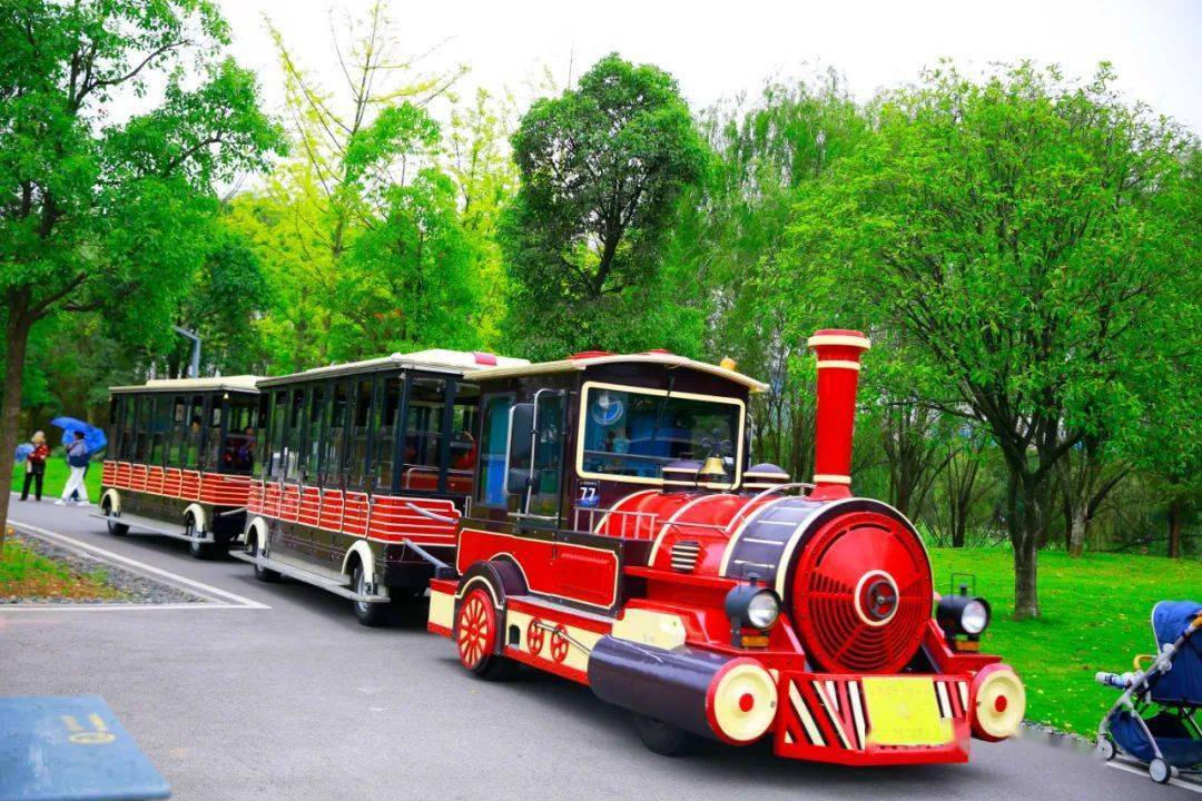 中秋国庆黄金周,洋湖湿地景区安全有序,完美收官!