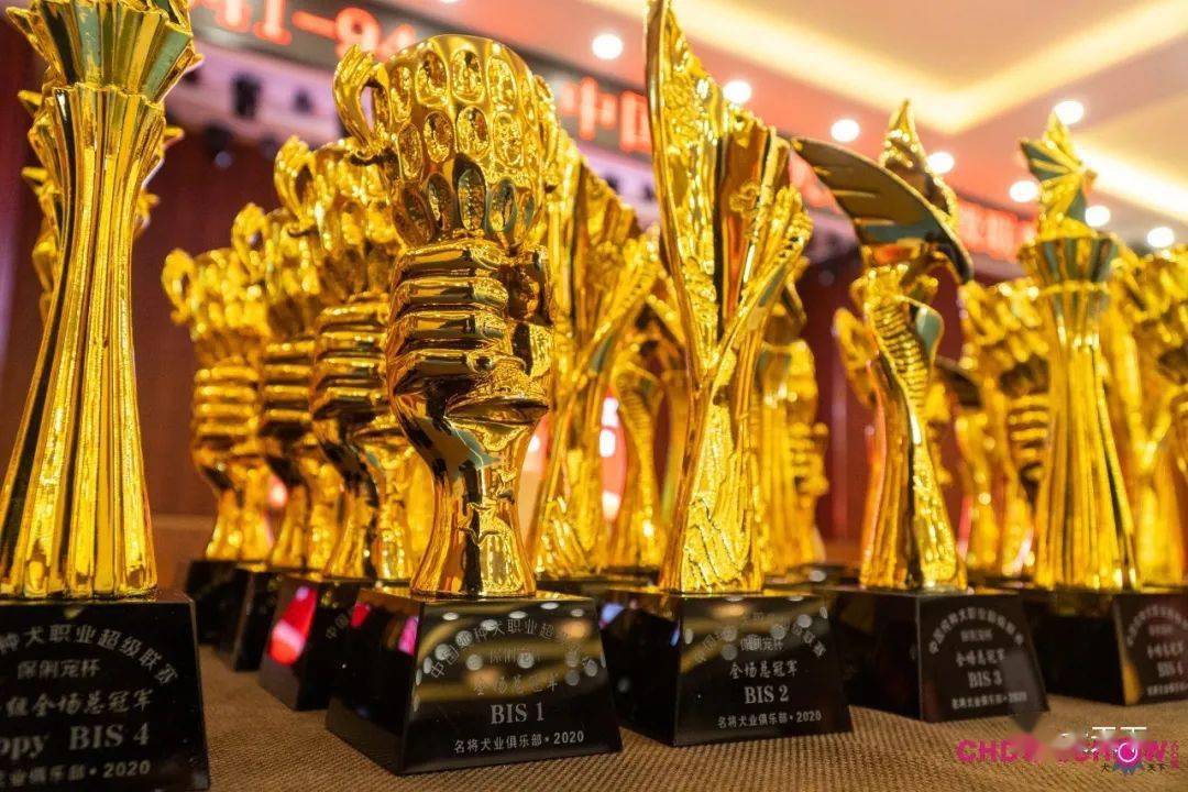 图文简讯:2020年10月ngkc保定冠军展战报