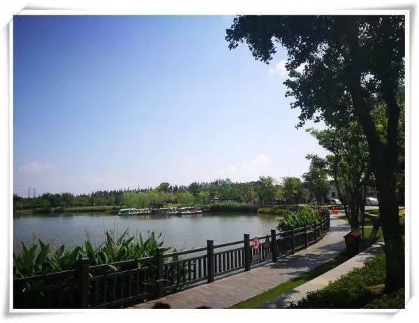 赵五一美篇 金秋十月来到奉贤五四农场