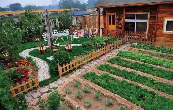 愿你在养老之际,有个农家小院可忙活!