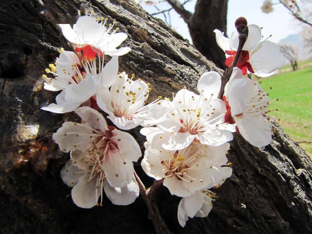夏明月别枝惊鹊 清风半夜鸣蝉秋落霞与孤鹜齐飞 秋