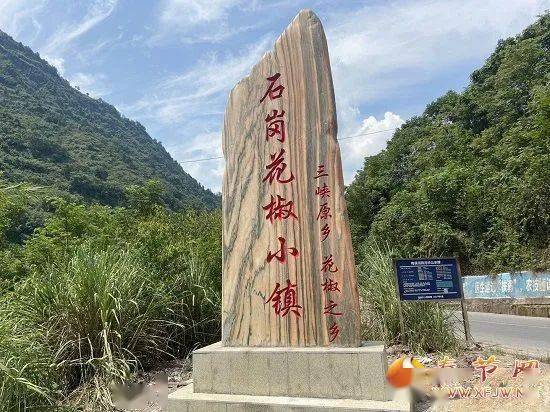 石岗花椒小镇石碑今年,石岗乡多次组织乡村干部和种植户前往江津,汉源