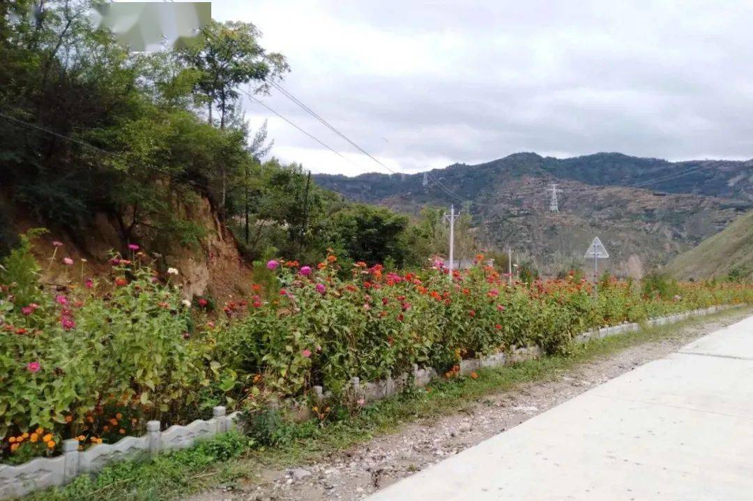 图说礼县乡村巨变王坝篇