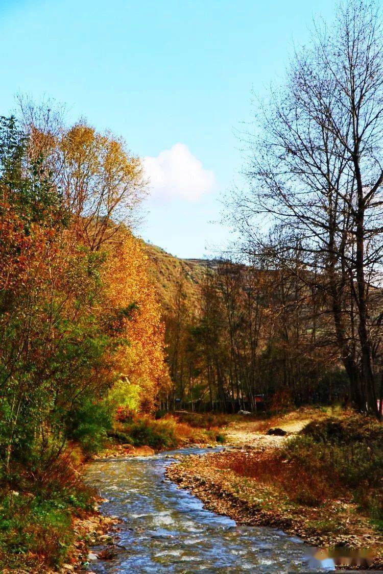 礼县白关镇秋日景色层林尽染五彩斑斓