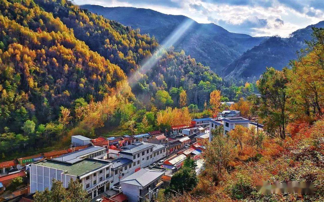 礼县白关镇秋日景色层林尽染五彩斑斓