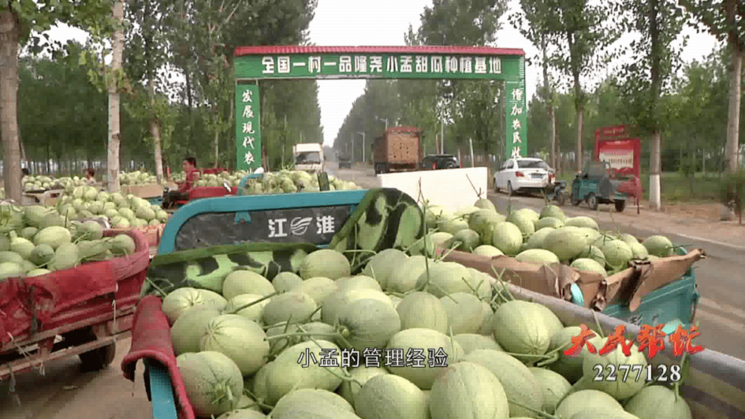 家乡好货小孟村种植甜瓜带动群众走出致富甘甜路