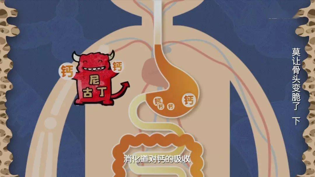 养成良好的生活习惯,让钙不流失!