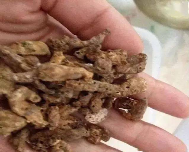 3,部分存放过久的中草药产品也容易产生霉菌毒素,如黄芪,陈皮等中草药