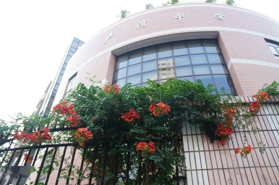 卢湾中学:跨学科项目化学习 适应新中考改革一个项目中涉及到的数学