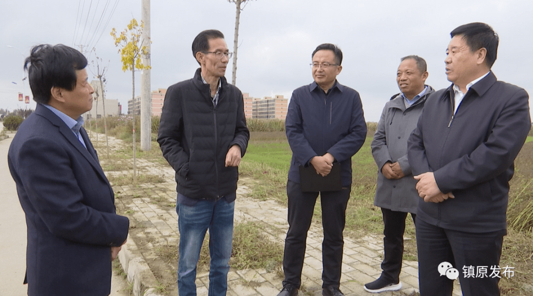 (记者:慕冠群)(消息来源:镇原县融媒体中心)编辑:大掌柜点击