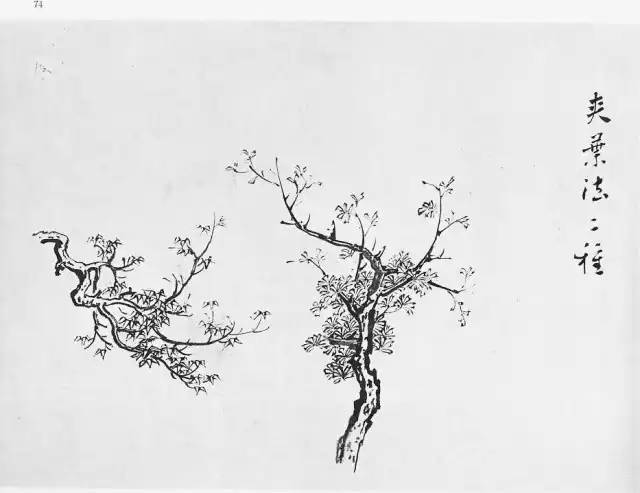 大师画树实在是高