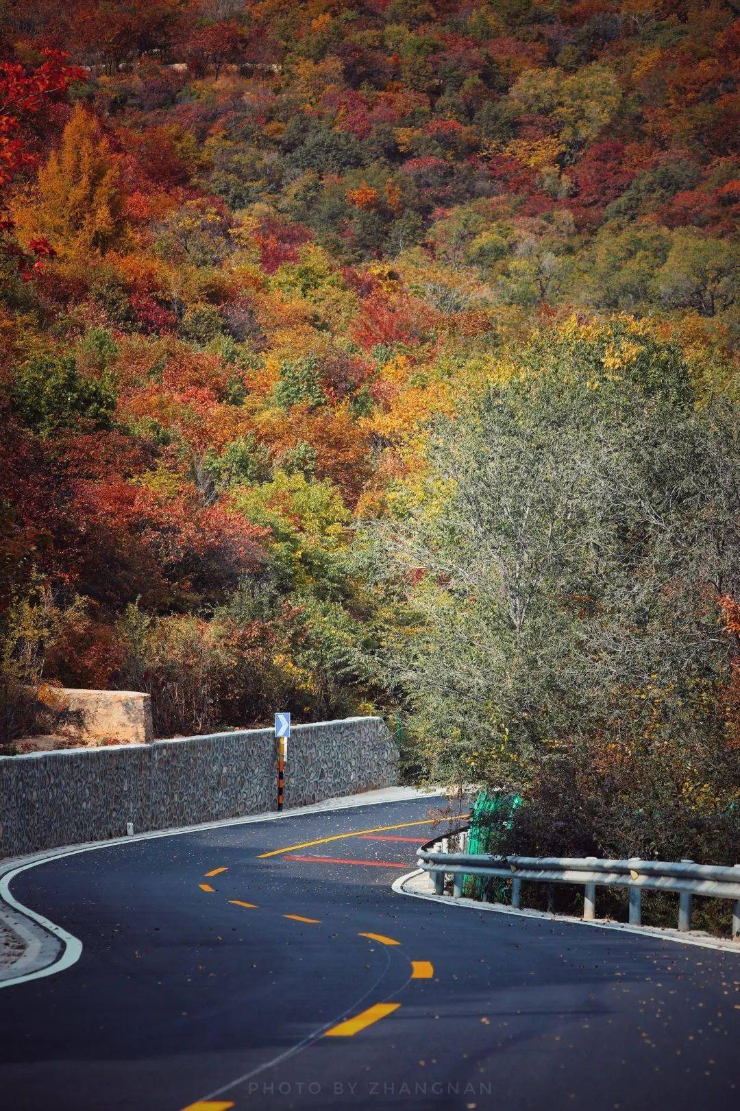 的秋天最让人留恋延庆的秋天更是绚烂多彩那条我们骑了多次的百里画廊