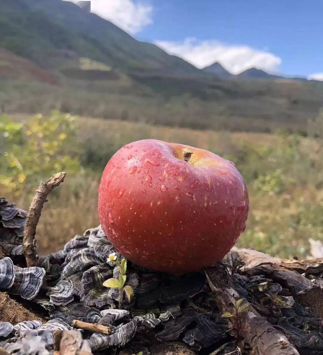 1/9巨野县佳和购物有限公司2020-10-14 18:32:35