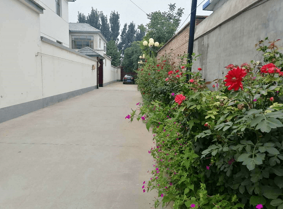 铺就美丽乡村新画卷奏响小康生活变奏曲涿州桃园街道大马村新农村建设