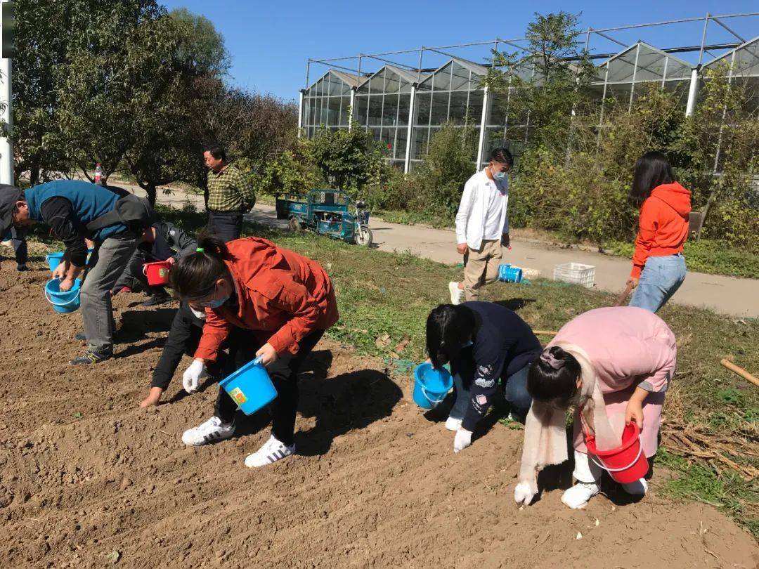 了解农耕文化体验劳动生活主题党日活动走进农业园